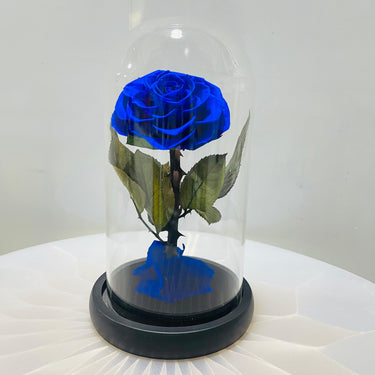Infinity Blue Preserved Rose